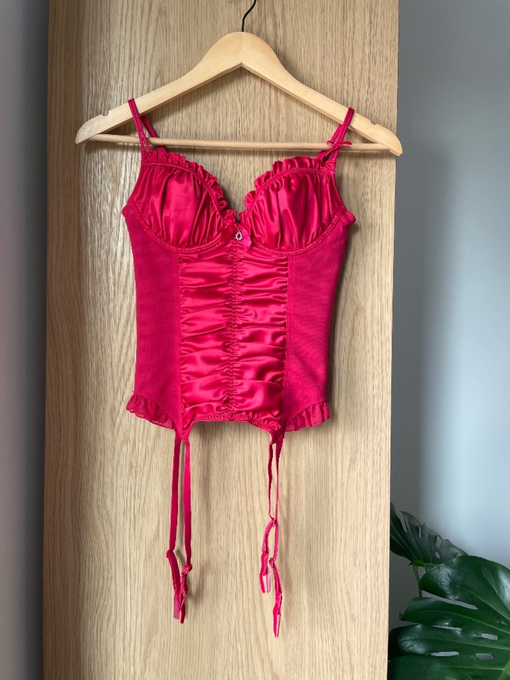 La Vie En Rose Corset 34B
